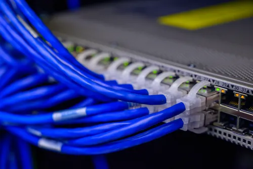 Mehrere blaue Ethernet-Kabel in einem Netzwerk-Switch