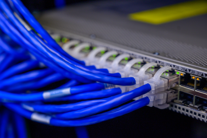 Mehrere blaue Ethernet-Kabel in einem Netzwerk-Switch